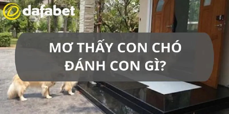 Mơ thấy chó đánh con gì tại Dafabet