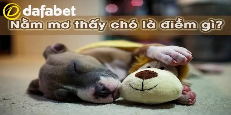 Ý nghĩa giấc mơ thấy chó
